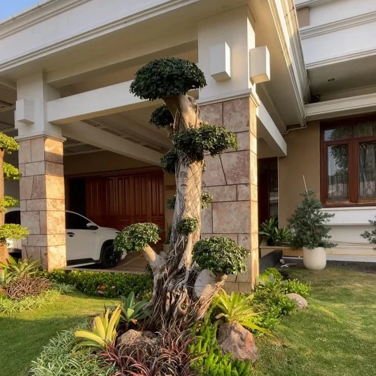 Bonsai pilar halaman carport