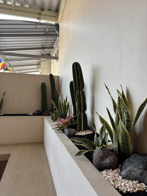 Taman Kering #05