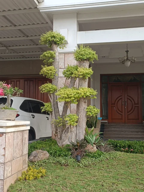 Taman Modern Minimalis #01